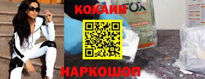 дмт Гай