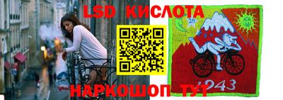 дмт Гай