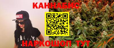 дмт Гай