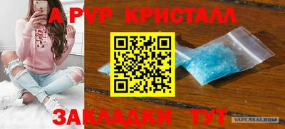 дмт Гай