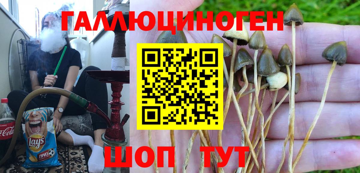 Псилоцибиновые грибы мухоморы Мурманск