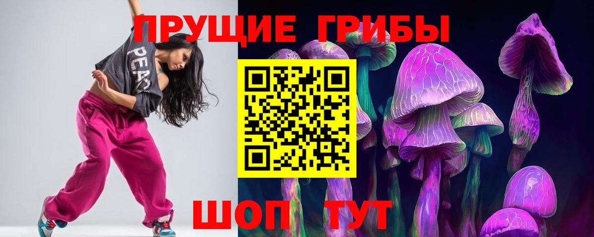 Псилоцибиновые грибы Cubensis  Галлюциногенные грибы мицелий  Вход с VPN  Мурманск 